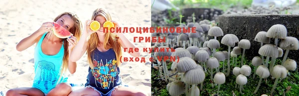 альфа пвп Баксан